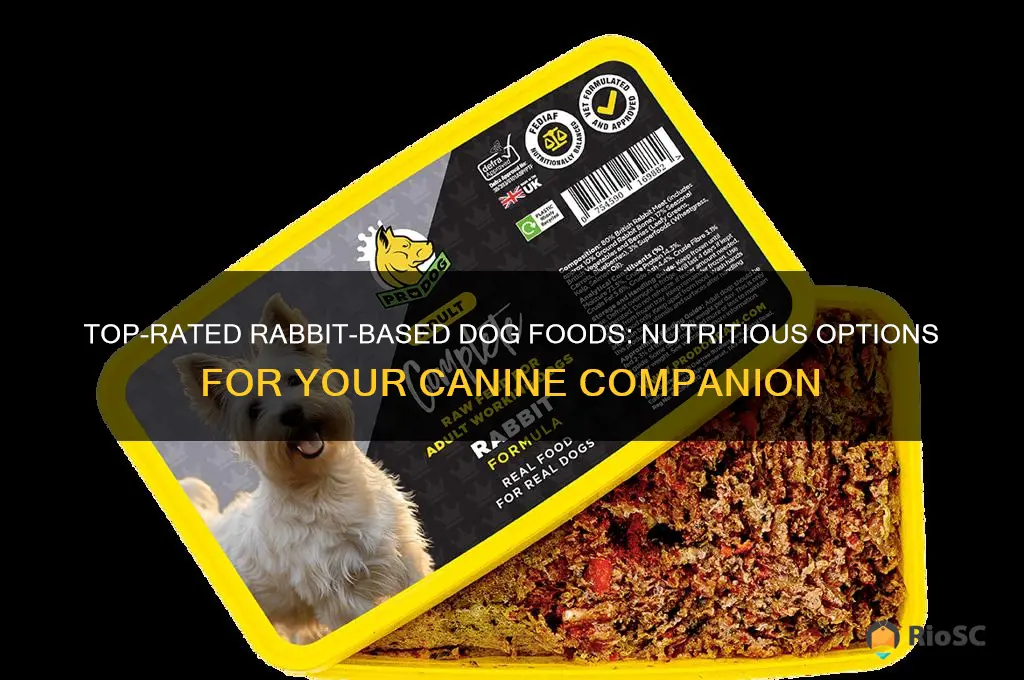 best rabbit dog food
