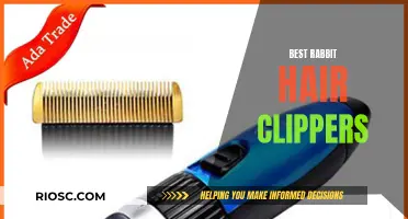 Top Clippers for Your Fluffy Rabbit Companion