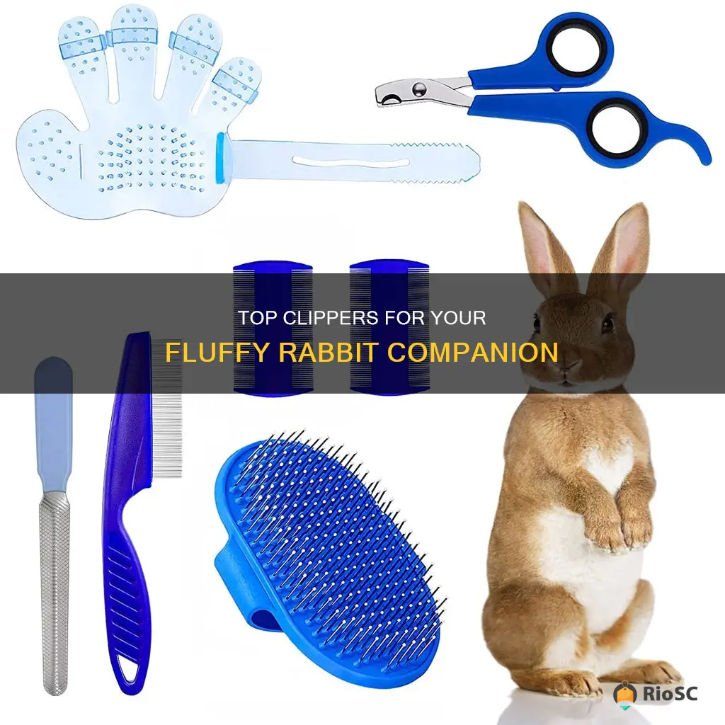 best rabbit hair clippers