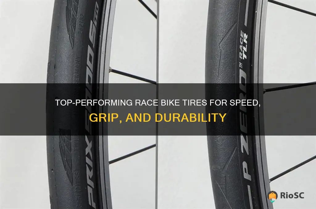 best race bike tires