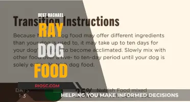 Top Rachael Ray Dog Food Picks: Nutritious and Delicious Options for Your Furry Friend