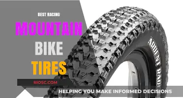 Top-Performing Racing Mountain Bike Tires for Speed and Control on Any Terrain