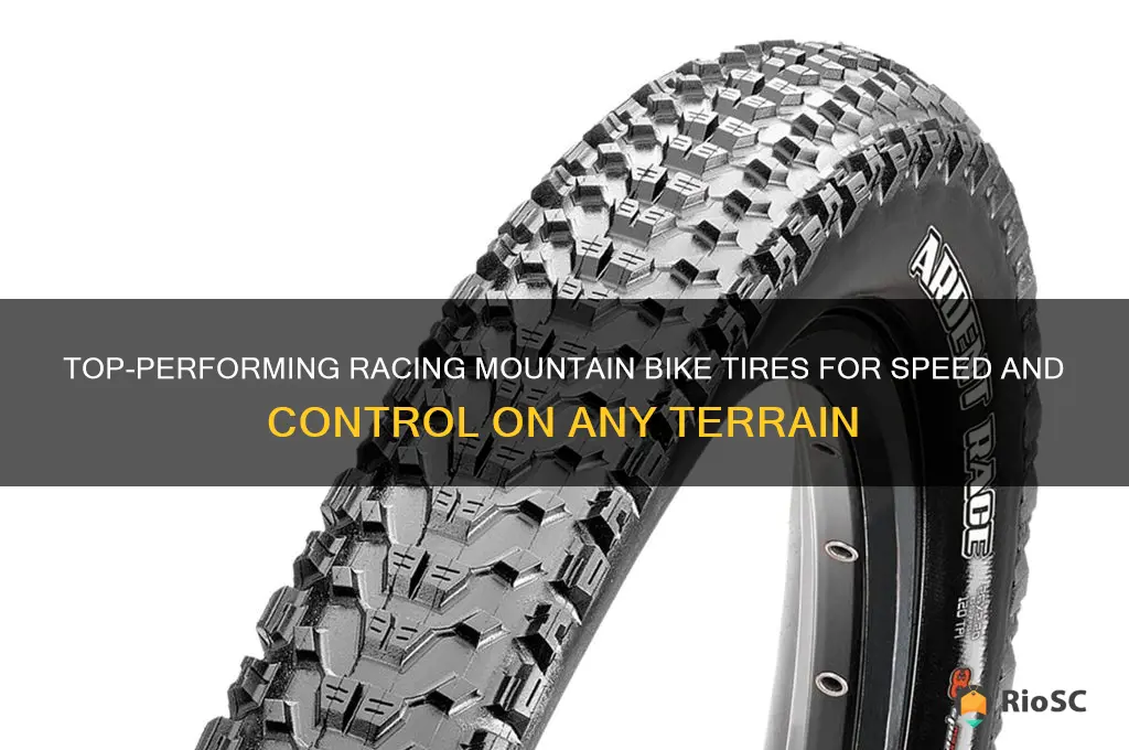 best racing mountain bike tires