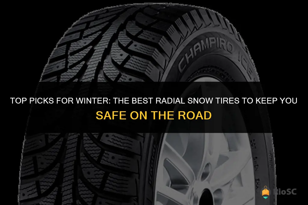 best radial snow tires