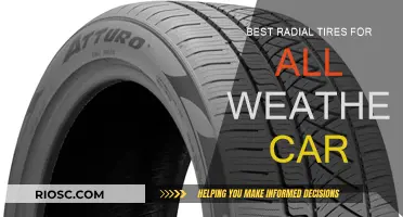 All-Weather Champions: Choosing the Best Radial Tires for Year-Round Performance