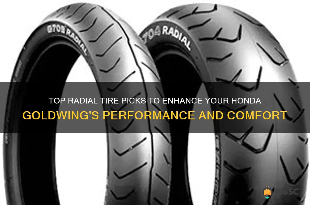 best radial tires for honda goldwing