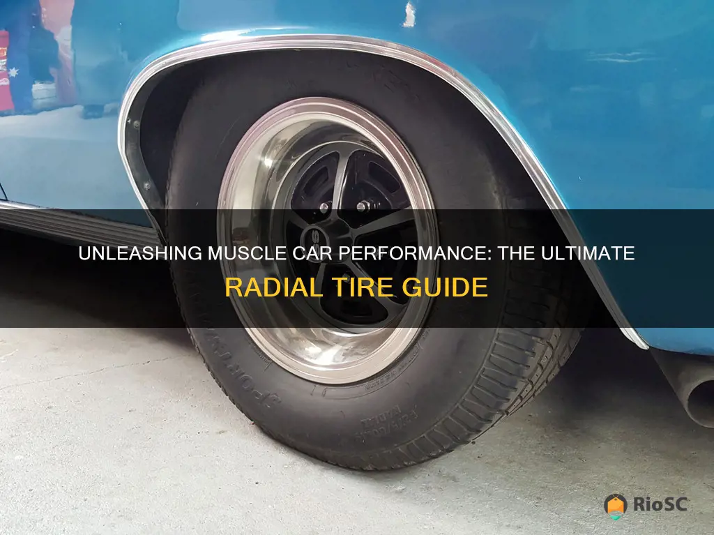 best radial tires for muscle car