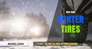 Top Picks for Rainy Winter Roads: The Best Tires to Keep You Safe and Dry