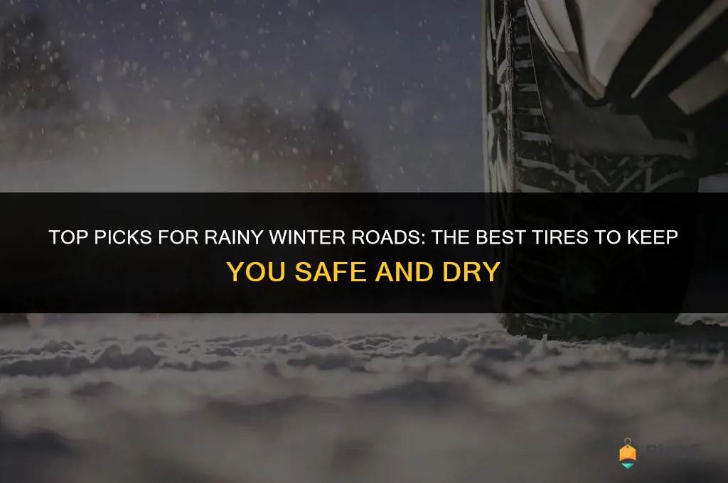 best rain winter tires