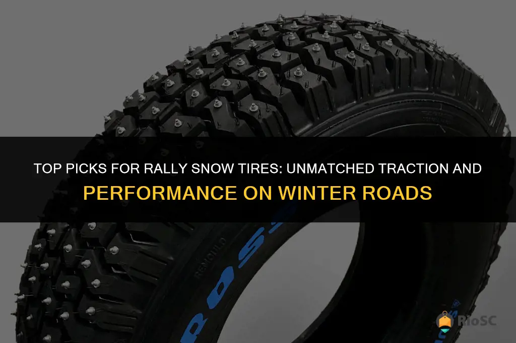 best rally snow tires