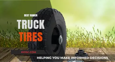 Top-Rated Ranch Truck Tires for Durability and Performance