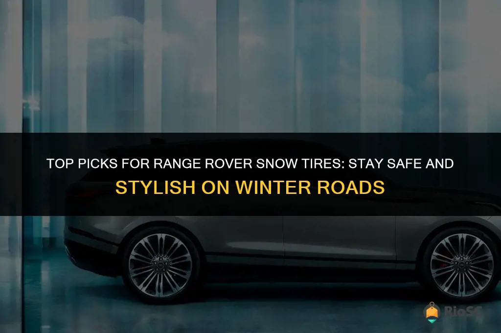 best range rover snow tires