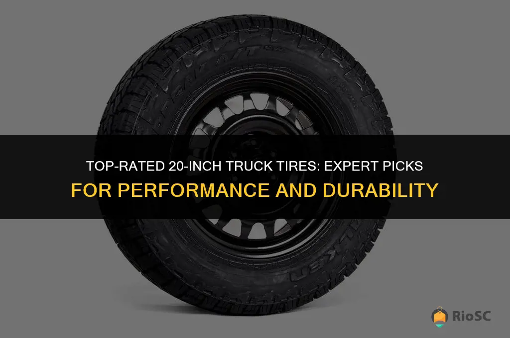 best rated 20 inch truck tires