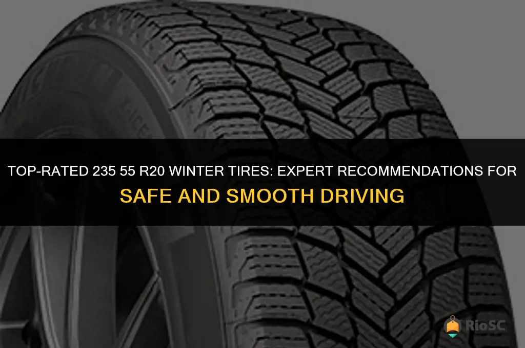 best rated 235 55 r20 tires for winter conditions