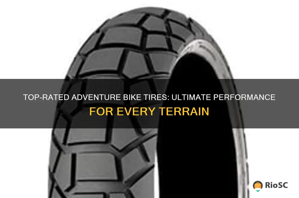best rated adventure bike tires