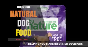Top-Rated All-Natural Dog Food: A Comprehensive Guide to Healthy Canine Nutrition