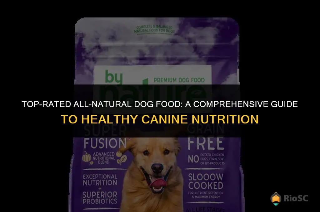 best rated all natural dog food