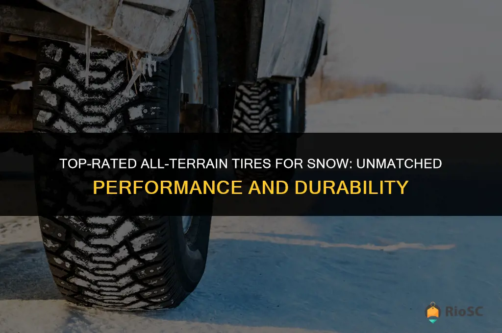 best rated all terrain tires for snow