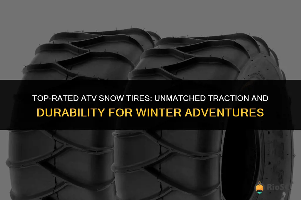 best rated atv snow tires