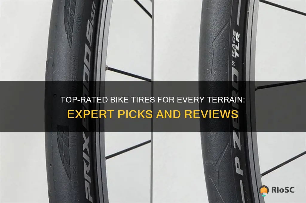 best rated bike tires