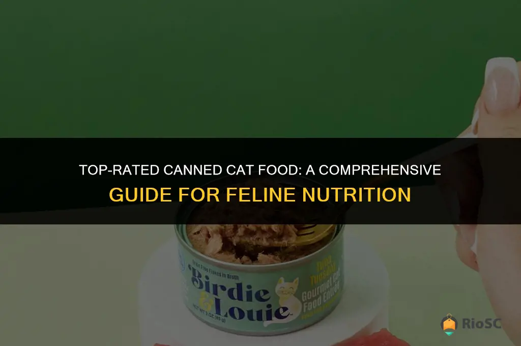 best rated canned cat food