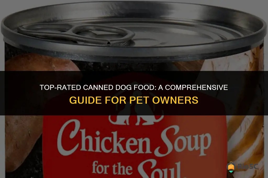 best rated canned dog food