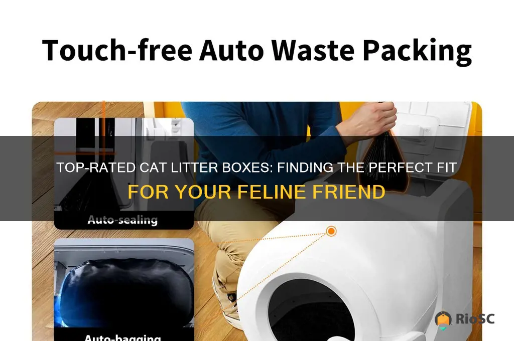 best rated cat litter boxes