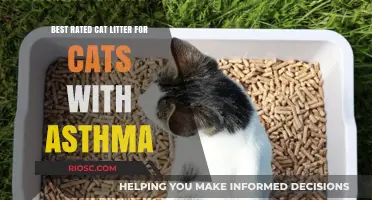 Breath Easy: Top-Rated Cat Litter Options for Cats with Asthma