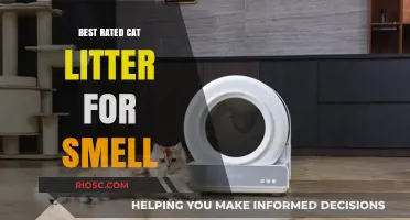 Top-Rated Cat Litter for Odor Control: Keep Your Home Fresh and Clean