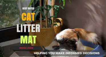 Top-Rated Cat Litter Mats: Keep Your Home Clean and Tidy with These Highly Recommended Options