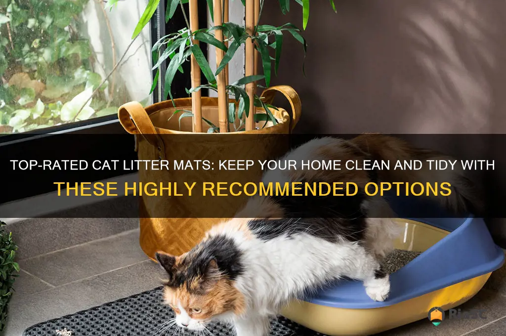 best rated cat litter mat