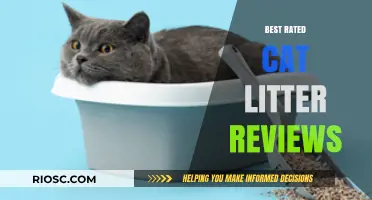 Top-Rated Cat Litter Reviews: Finding the Purr-fect Choice for Your Feline Friend
