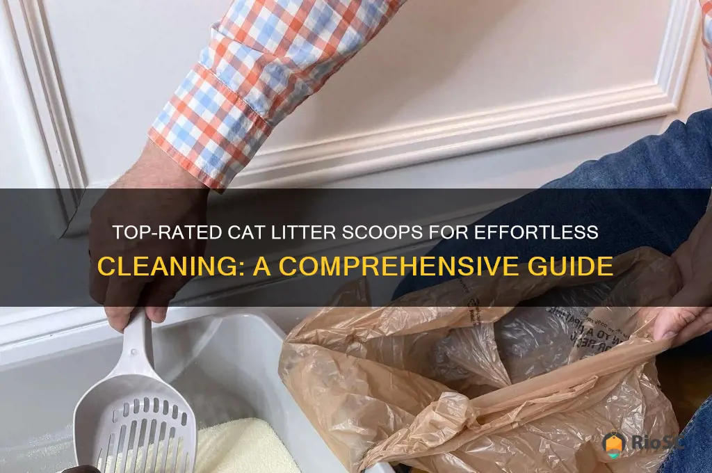 best rated cat litter scoop