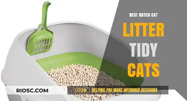 Top-Rated Cat Litter: Why Tidy Cats is a Favorite Among Pet Owners