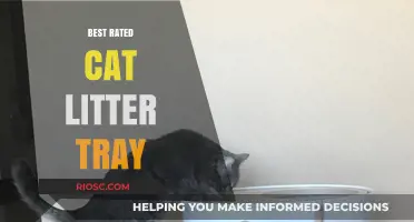 Top-Rated Cat Litter Trays: Finding the Perfect Fit for Your Feline Friend