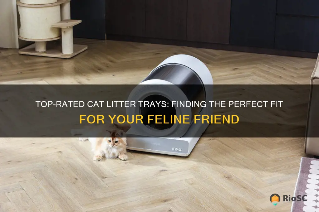best rated cat litter tray