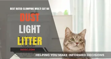 Top-Rated Dust-Free, Lightweight Clumping Litter for Multi-Cat Households