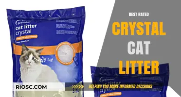 Top-Rated Crystal Cat Litter: Discover the Best Options for Odor Control and Absorption