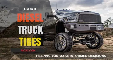 Top-Rated Diesel Truck Tires: Ultimate Performance and Durability for Heavy-Duty Vehicles