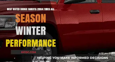 Top-Rated All-Season and Winter Tires for 2004 Dodge Dakota: Performance and Durability Combined