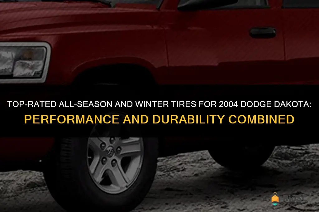 best rated dodge dakota 2004 tires all season winter performance