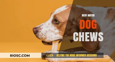 Top-Rated Dog Chews: Safe and Durable Options for Happy, Healthy Pups