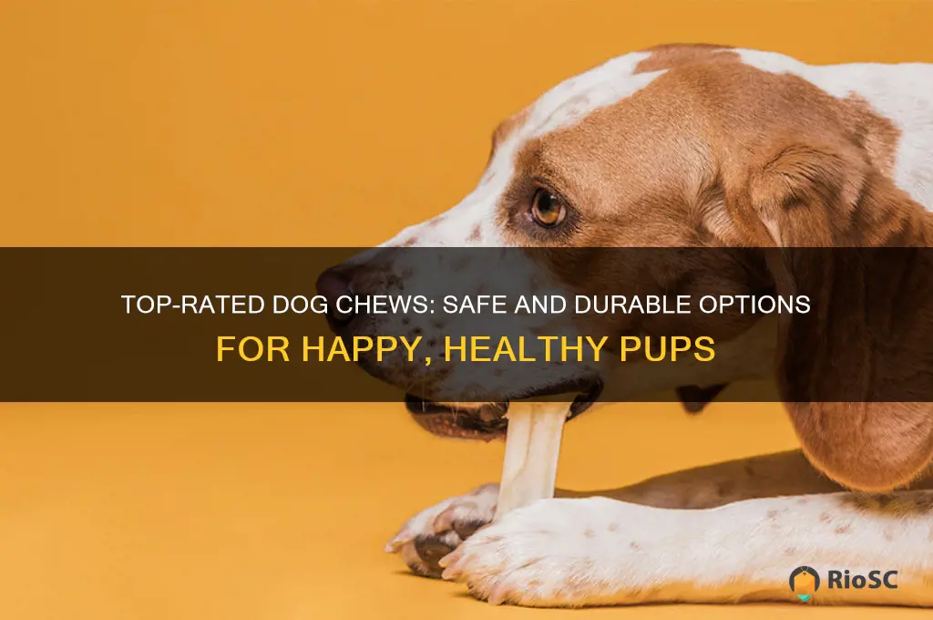 best rated dog chews