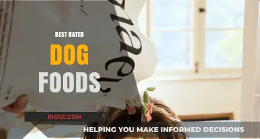 Top-Rated Dog Foods: A Comprehensive Guide to Nutritious and Delicious Options for Your Furry Friend