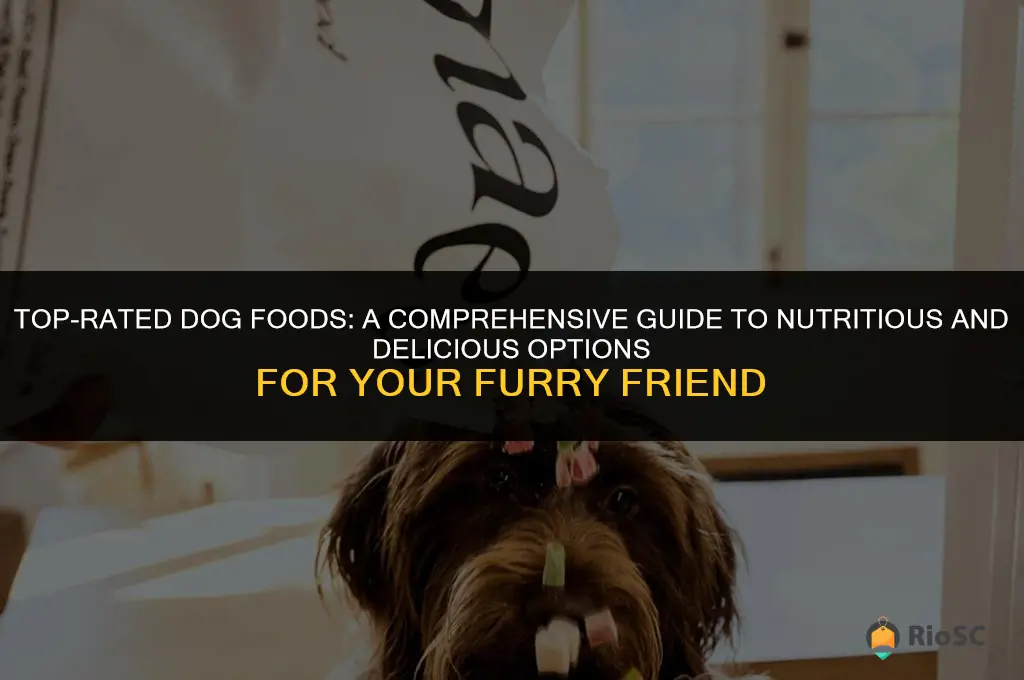 best rated dog foods