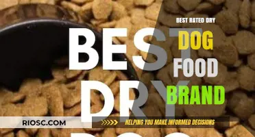 Top-Rated Dry Dog Food Brands: Nutritious and Delicious Options for Your Canine Companion