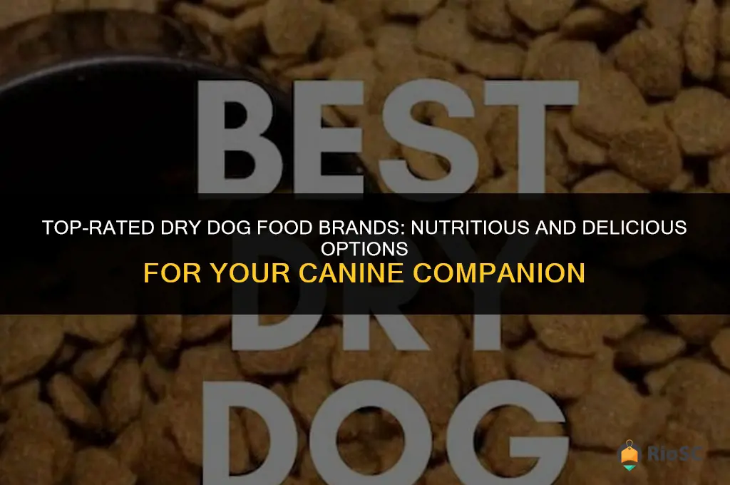 best rated dry dog food brand