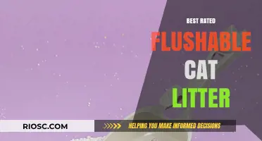 Top-Rated Flushable Cat Litter Options for a Cleaner, Eco-Friendly Home