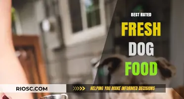 Top-Rated Fresh Dog Food: A Comprehensive Guide to Nutritious and Delicious Options for Your Furry Friend