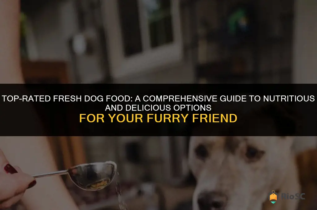 best rated fresh dog food
